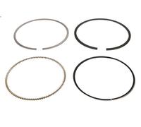 Kit fascia elastica MAHLE 022 10 N0 per RENAULT AVANTIME (DE0_) 2 2001-2003