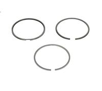 Kit fascia elastica MAHLE 029 52 N0 TRABANT 1.1 1.1 1990-1991