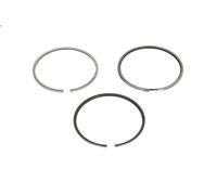 Kit fascia elastica MAHLE 029 54 N0 per ARO 10 1.6 1989-1992