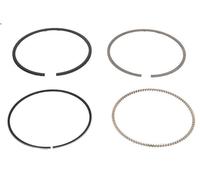 Kit fascia elastica MAHLE 033 01 N0 AUDI A3 (8L1) 1.6 1996-2003