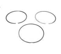 Kit fascia elastica MAHLE 038 73 N0 per RENAULT TRUCKS KERAX 12.777 2006-2009