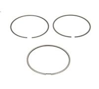 Kit fascia elastica MAHLE 039 RS 00116 0N0 per C3 II (SC_) 1 2012-2016