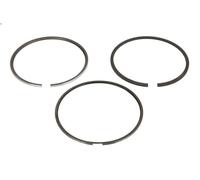 Kit fascia elastica MAHLE 039 RS 10101 0N0 per CITROEN C6 (TD_) 3 2009-2012