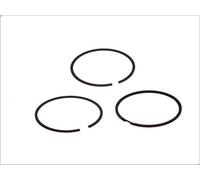 Kit fascia elastica MAHLE 040 25 N0 per PEUGEOT 307 (3A/C) 1.4 2003-2007