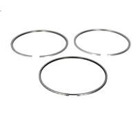 Kit fascia elastica MAHLE 061 RS 00110 0N0 per SCANIA P I 9.291 2004-2019