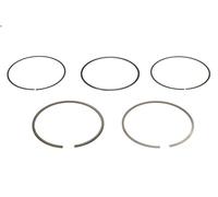 Kit fascia elastica MAHLE 083 23 N0 per BMW 8 (E31) 4.4 1996-1999