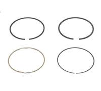 Kit fascia elastica MAHLE 640 RS 10102 0N0 per CUBE (Z11) 1.4 2003-2008