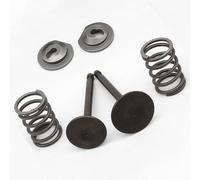 Kit fermo molla per collettore valvola scarico per gx160 per gx200 168F