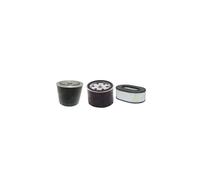 Kit Filtri Per Holland Sollevatore B 185 DL 25 Carburante Aria Olio W/ Hatz