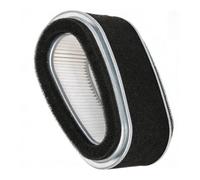 Kit Filtro Compatibile FC290V Include Filtro Principale e Pre Pulitore Schi
