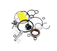 Kit filtro pompa urea 6 pezzi, kit di riparazione, adatto per pompa carburante Bosch 0445020119, include paraolio, parte del sistema di iniezione del motore Filtro urea kit