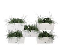 KIT FIORIERE COMPONIBILI 'BRICK' kit 5 pz - colore tortora