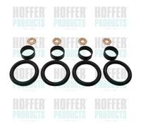 KIT FISSAGGIO INIETTORI CR CR INJECTOR FIXING KIT PSA-FORD ( 1.4 HDI )