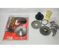 Kit FLY Clutch Frizione Completa Variatore Malossi Piaggio GRILLO 50 cc 2T