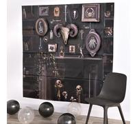 Kit fondale multicolore Dark Academia con componenti aggiuntivi, 165,1 x 32,5 (confezione da 2), ideale per servizi fotografici estetici e decorazioni per la casa