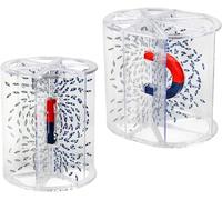 Kit for il campo elettromagnetico dei magneti permanenti: esplora la direzione del magnetico e formazione dell'induzione magnetica in ogni punto