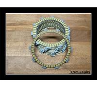 Kit Frizione 10 Dischi Guarniti per Suzuki Gsxr 750 T/V 1997 Per 1999 Nuovo