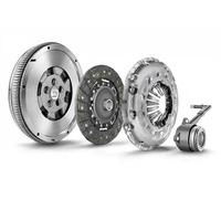 Set di frizione con volano a doppia massa LUK RepSet DMF 600 0058 00
