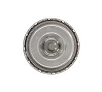 Kit frizione BORG WARNER 202154