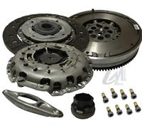 Kit frizione LuK RepSet DMF LUK 600 0234 00