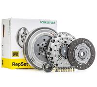 Set di frizione con volano a doppia massa LUK 600 0298 00