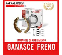 Kit GANASCE FRENO ASSALE POSTERIORE PER 500 500 C PANDA PANDA Van KA - FERODO