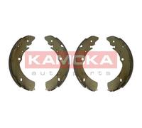 Kit Ganasce Freno Asse Posteriore per Isuzu II Tfr Tfs 8DH