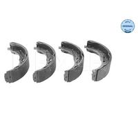 Kit ganasce, Freno stazionamento Assale posteriore 214 533 0017 MEYLE per FIAT