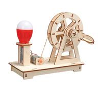 Kit generatore - Con manovella, lanterna fai da te, fisico per l'apprendimento fisico, kit creativo per l'aula del primo sviluppo