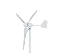 Kit generatore eolico 3000W turbina orizzontale a basso rumore 12V/24V/48V generatore di energia eolica for sistema eolico solare ibrido Generazione di energia a basso rumore e ad alta ef(Wind Turbine
