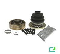 Kit Giunto Albero Motore NBR Ø100mm Disco di Snodo + Grasso LÖBRO per Altre A.