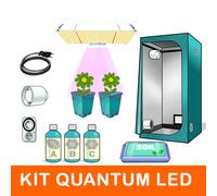 Kit Grow Box Quantum Led 80