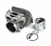 Kit gruppo cerchi anello cilindro/perno (46 mm) per 555 560 560xp 562