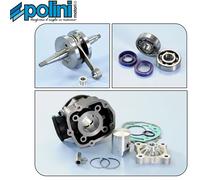 Polini Kit Cilindro Speciale Per Moto Ricambi Accessori VM115280701