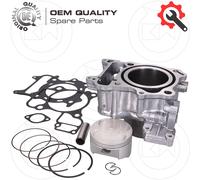 KIT GRUPPO TERMICO CILINDRO COMPLETO TIPO ORIGINALE HONDA FORZA 300 2013 NF04A