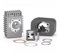 KIT GRUPPO TERMICO CILINDRO MALOSSI 46,5 PIAGGIO GRILLO 50 2T SPINOTTO 10