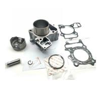 KIT GRUPPO TERMICO CILINDRO PISTONE COMPLETO HONDA SH 300 ABS 2007 2008 2009