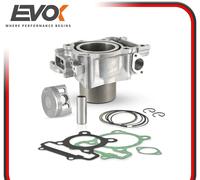 KIT GRUPPO TERMICO CILINDRO PISTONE GUARNIZIONI TIPO ORIGINALE HONDA SH 300