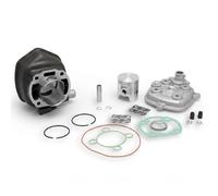KIT GRUPPO TERMICO MALOSSI D.47 H2O BETA EIKON 50 2T LC SP.10 COD.318284