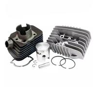 KIT GRUPPO TERMICO OLYMPIA 65cc CILINDRO diam.43 SPINOTTO 10mm PER PIAGGIO GRILL