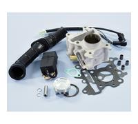 Kit Gruppo Termico POLINI Yamaha Aerox 50 4t per Moto Ricambi Ciclomotore
