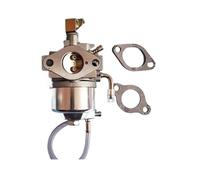 Kit guarnizione carburatore adatto for GM132 GM132P GM181L GM181P TCY780