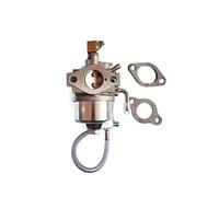 Kit guarnizione carburatore adatto for GM132 GM132P GM181L GM181P TCY780