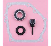 Kit guarnizione carter, cuscinetto paraolio, astina di livello adatto for GX160 GX200 5,5 HP 6,5 HP, parti for utensili da giardino 11381-ZH8-801 91201-Z0T-801