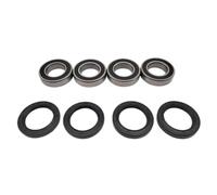 Kit Guarnizione Cuscinetto Mozzo Assale Compatibile Con ODES 800 RAIDER UTV | Adatto a tutte e 4 le ruote; Per ODES 800 RAIDER UTV