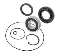 Kit guarnizione e cuscinetto O-ring per tamburo freno posteriore compatibile con 2014 2015 2016 2017 2018 2019 2020 2021 2022 Rancher 420 420 Foreman 500 TRX500 TRX520