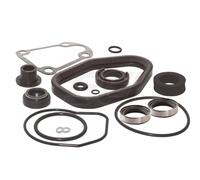Kit Guarnizione Gearcase Johnson Evinrude 35-40-48-50-60-75 Unità Inferiore EI