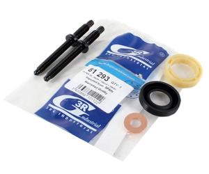 KIT GUARNIZIONE INIETTORE + VITE PSA 3RG 81293