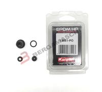 KIT GUARNIZIONE POMPA GRIMECA 9.5 MM. ARIETE 13861-PO