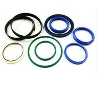 Kit Guarnizione Stelo Cilindro Idraulico JCB Per 3CX 3DX 991/20038 65x120mm